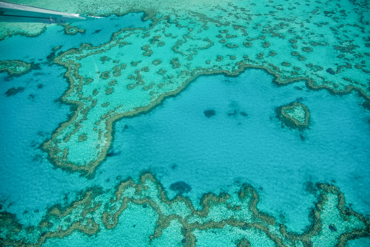 Luftaufnahme des Great Barrier Reef in Queensland, Australien.
