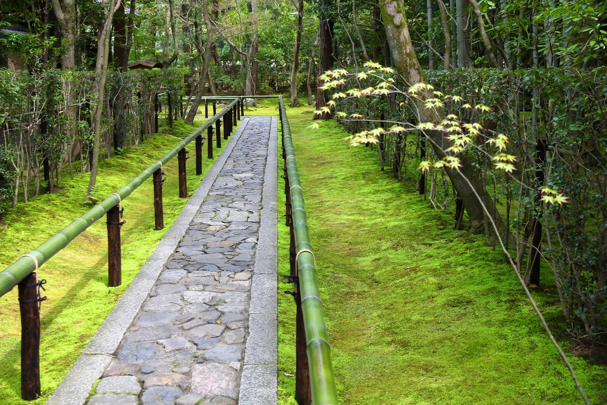 A moss garden at Daitokuji, Kyoto. Destination context, not Aman Kyoto.