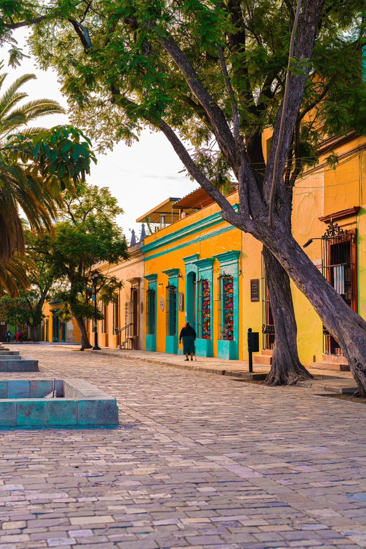 Oaxaca